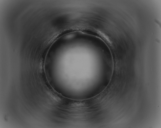 X0000092310065200709141401
