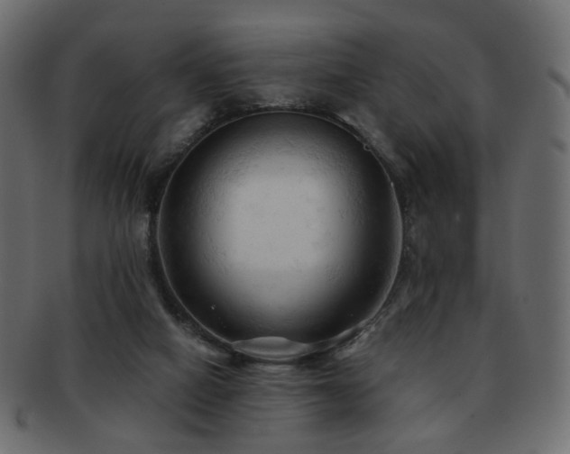 X0000092310066200709141401