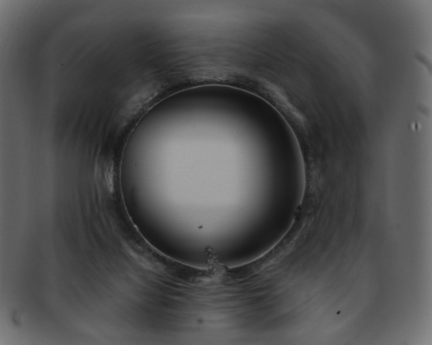 X0000092310068200709141401