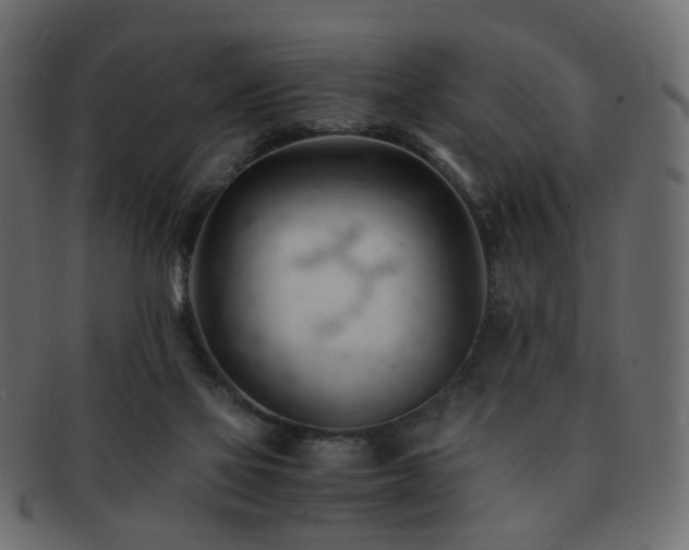 X0000092310069200709141401