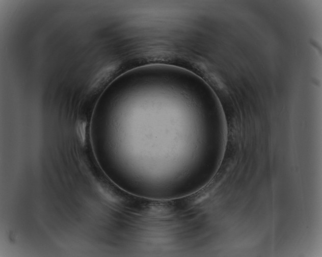 X0000092310070200709141401