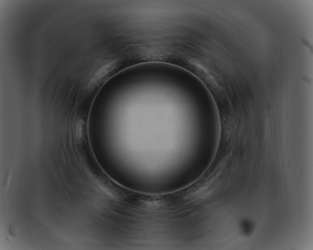 X0000092310071200709141401