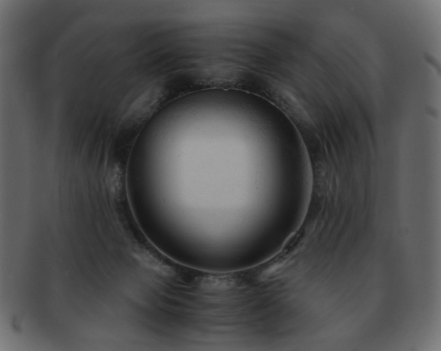 X0000092310077200709141402