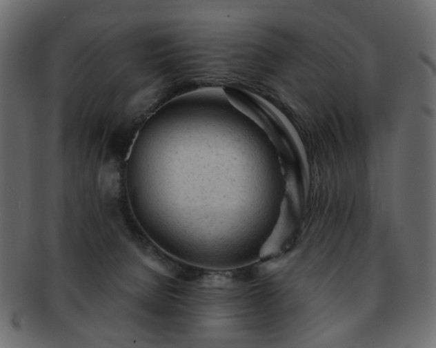 X0000092310080200709141402