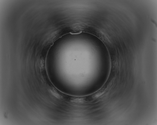 X0000092310081200709141402