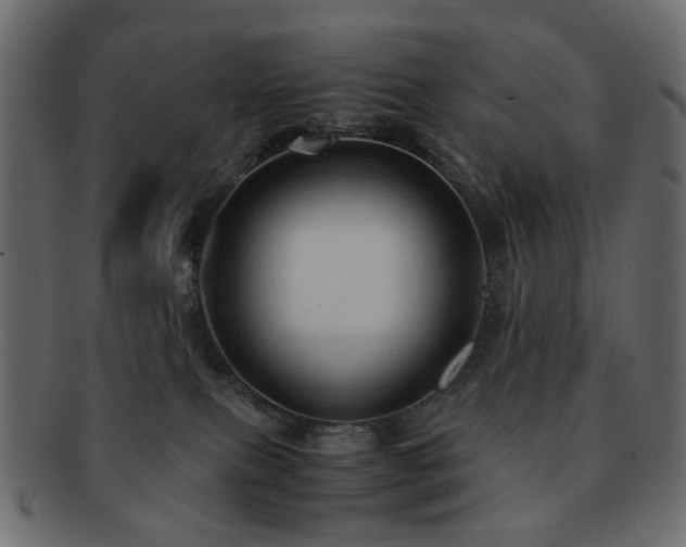 X0000092310087200709141402