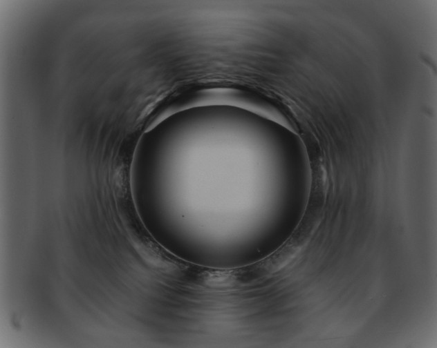 X0000092310088200709141402