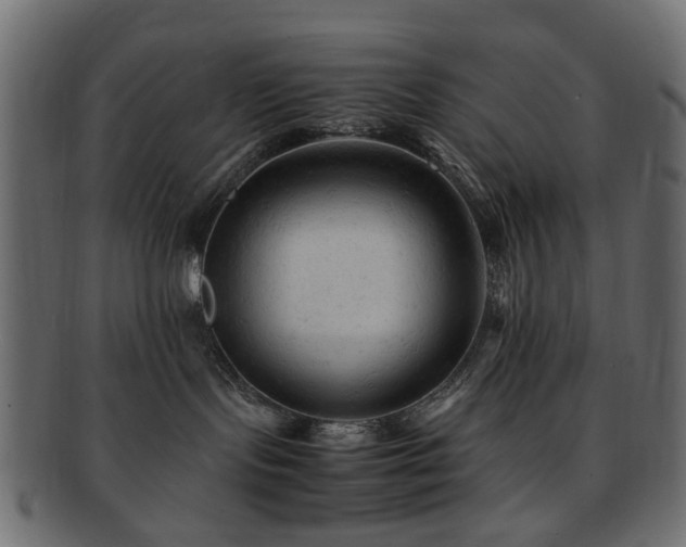 X0000092310095200709141402