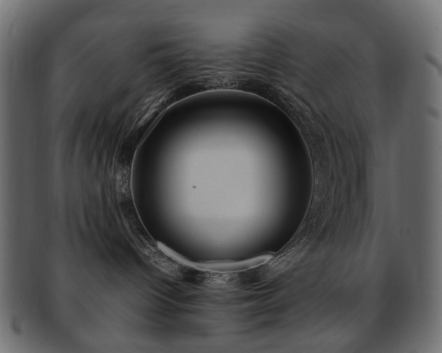 X0000092310096200709141402