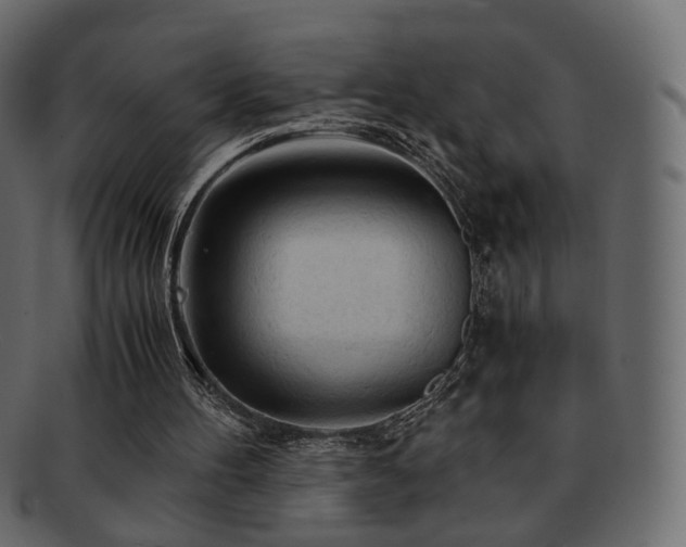 X0000092310100200709141401