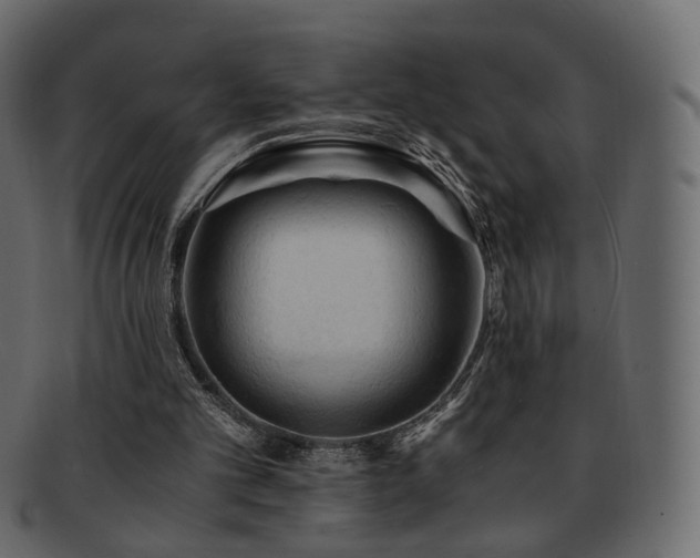 X0000092310101200709141401
