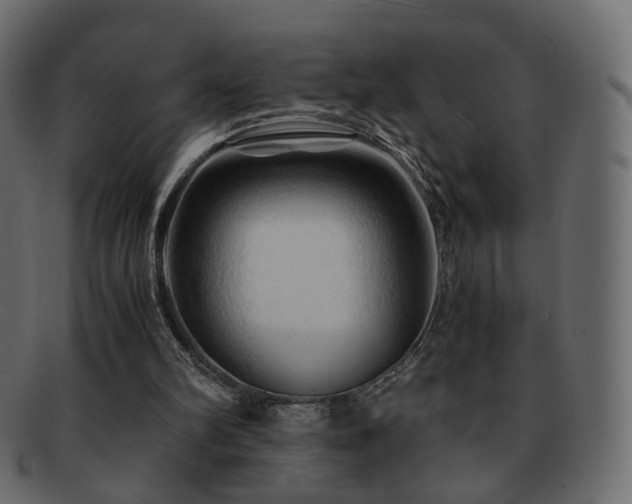 X0000092310102200709141401
