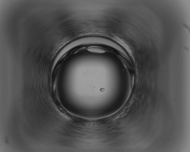 X0000092310105200709141401