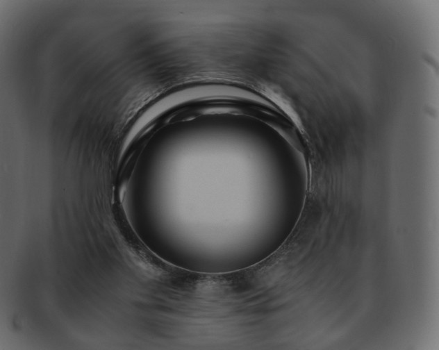 X0000092310109200709141401