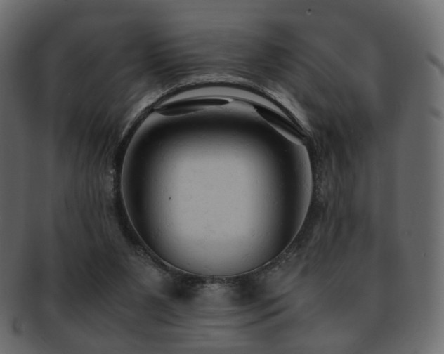 X0000092310111200709141401