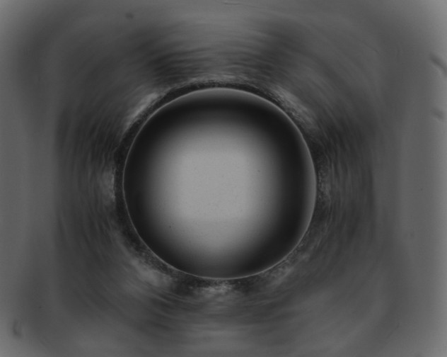 X0000092310112200709141401