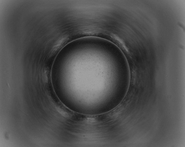 X0000092310114200709141401