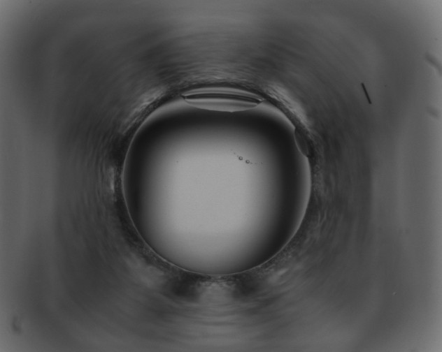 X0000092310115200709141401
