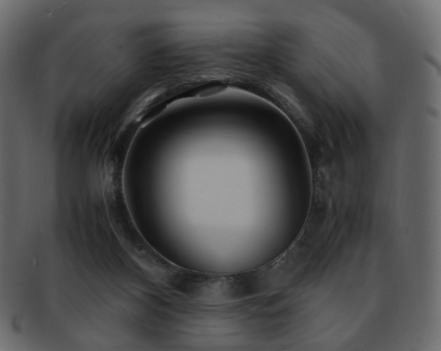 X0000092310116200709141401