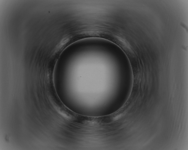 X0000092310120200709141401