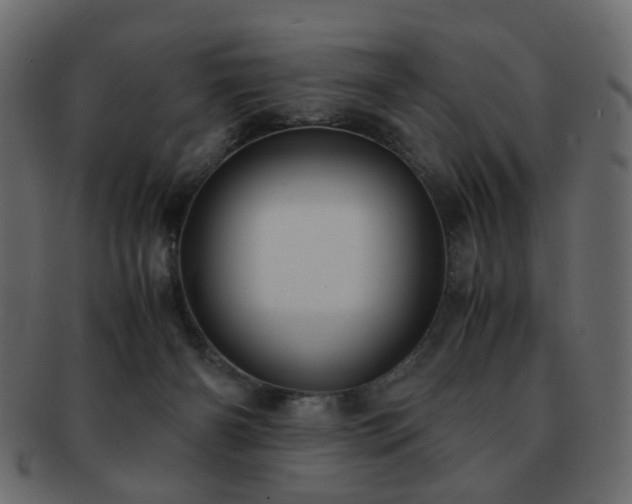 X0000092310126200709141401
