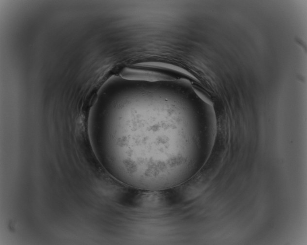 X0000092310127200709141401