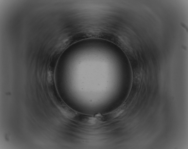 X0000092310130200709141401