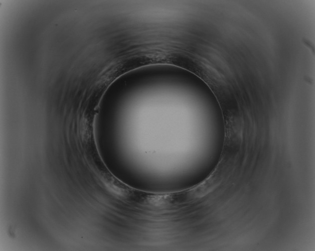 X0000092310136200709141401