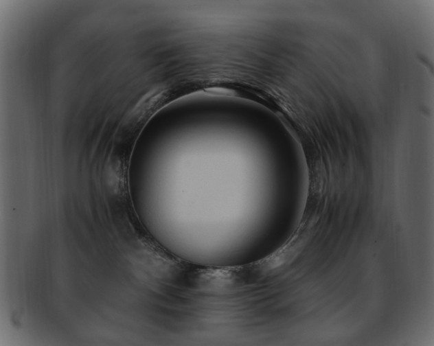 X0000092310140200709141401