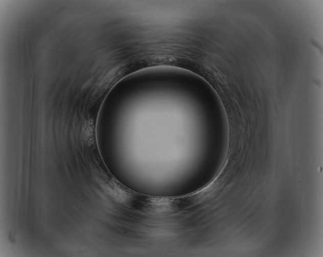 X0000092310144200709141401