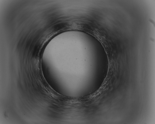 X0000092310146200709141400