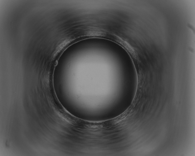 X0000092310155200709141400