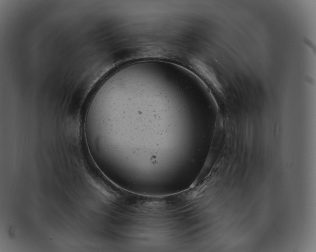 X0000092310156200709141400