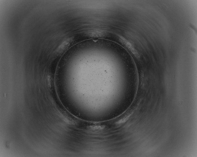X0000092310161200709141400