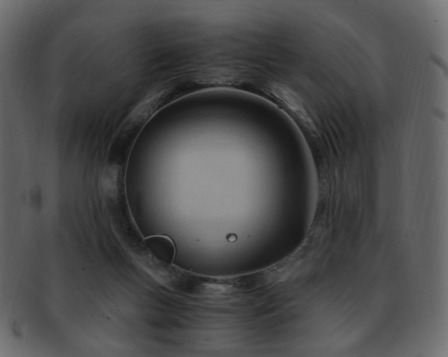 X0000092310167200709141400