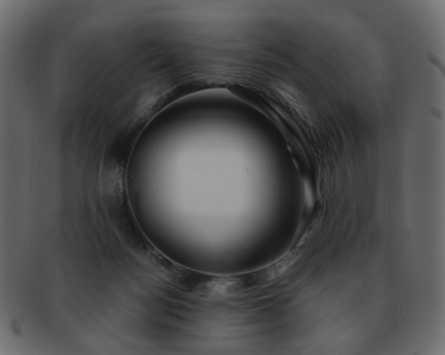 X0000092310172200709141400