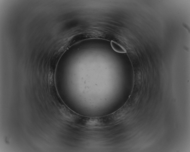 X0000092310177200709141400