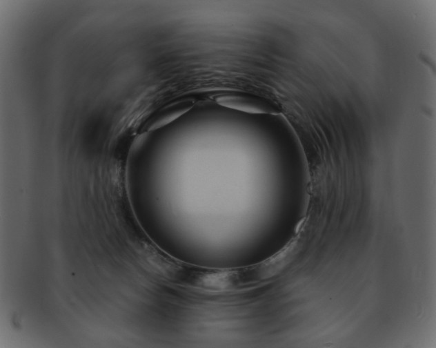 X0000092310178200709141400