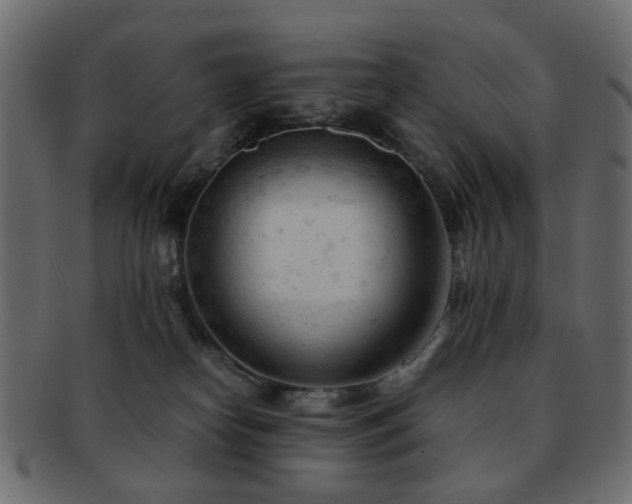 X0000092310182200709141401