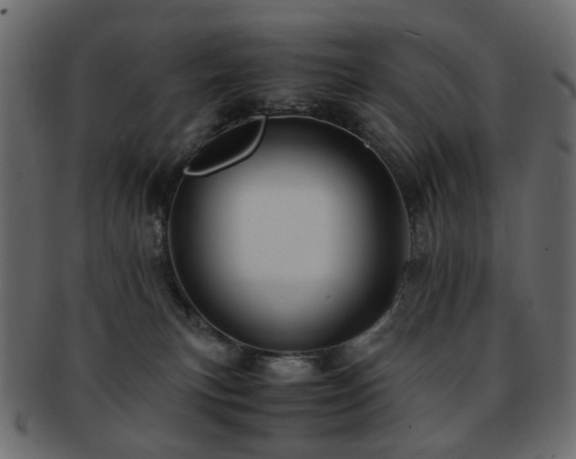 X0000092310183200709141401