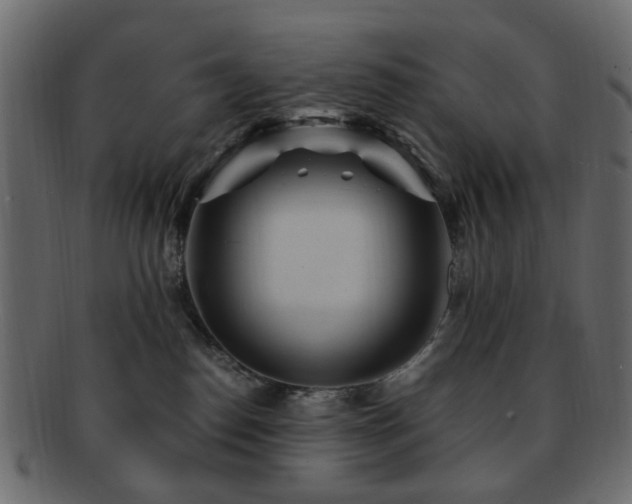 X0000092310186200709141401