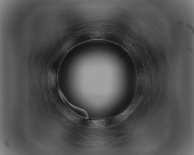 X0000092310188200709141401