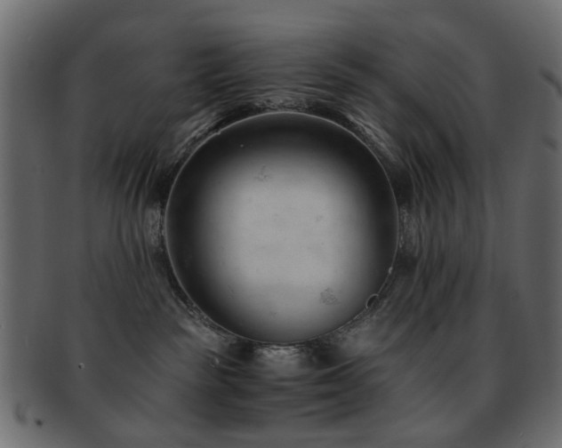 X0000092310189200709141401