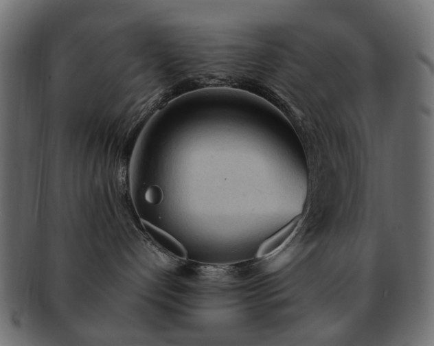 X0000092310192200709141401