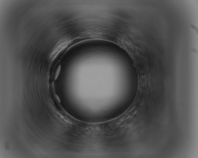 X0000092310194200709141400