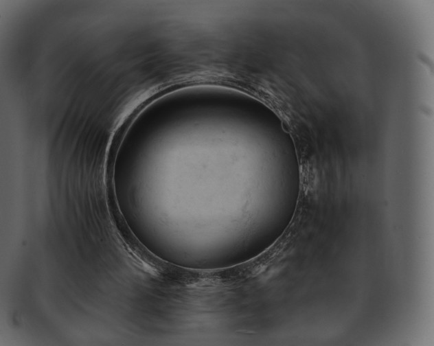 X0000092310196200709141400