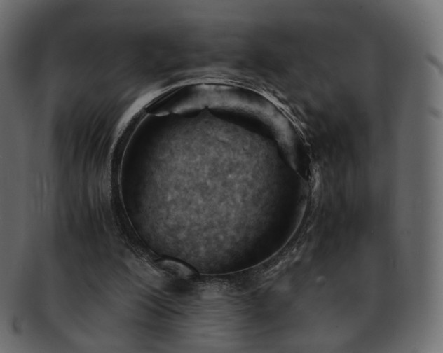 X0000092310200200709141400
