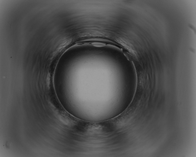 X0000092310206200709141400