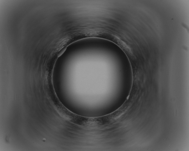 X0000092310209200709141400
