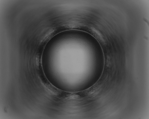 X0000092310210200709141400